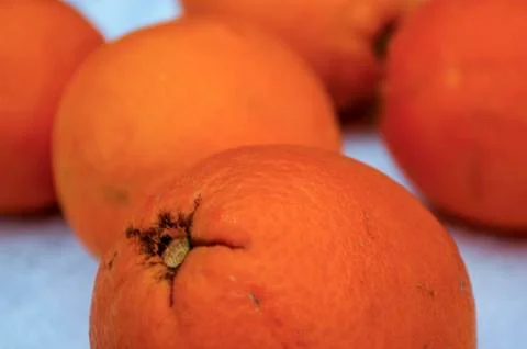 Oranges 写真素材