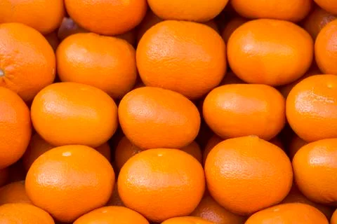 Oranges 库存照片