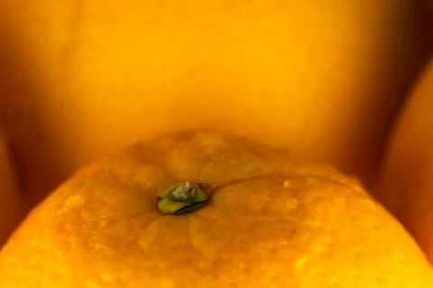 Oranges Stock Photos