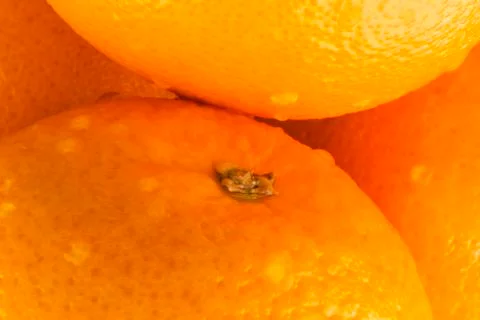 Oranges Stock Photos