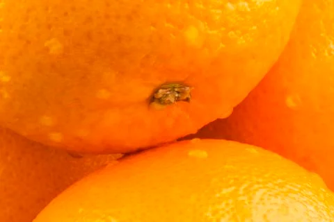 Oranges Stock Photos