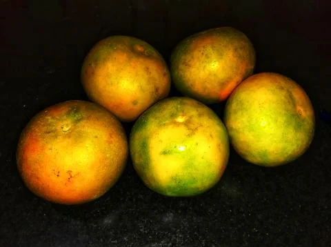 Oranges Stock Photos