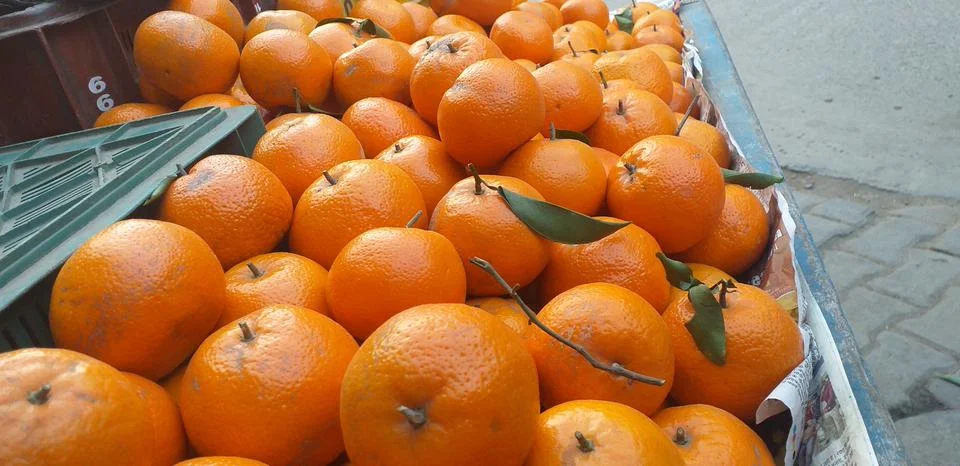 Oranges Stock Photos