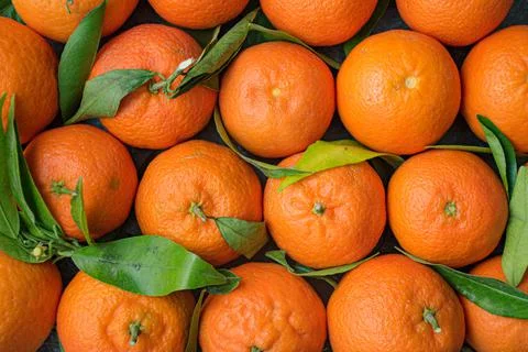 Oranges Stock Photos