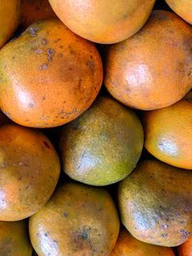 Oranges 写真素材