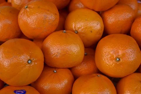 Oranges Stock Photos