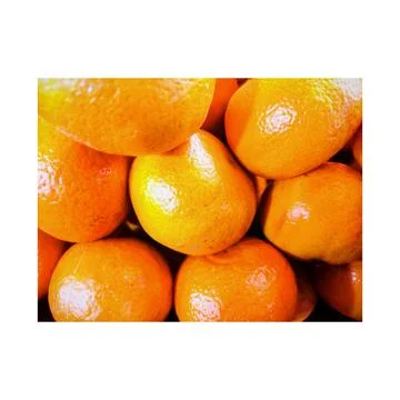 Oranges Stock Photos