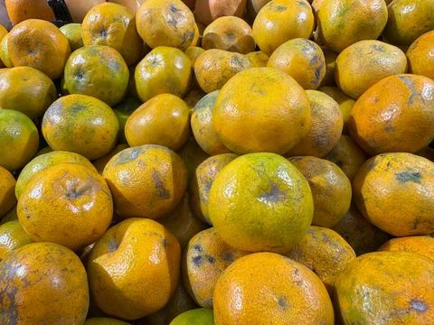 Oranges 库存照片