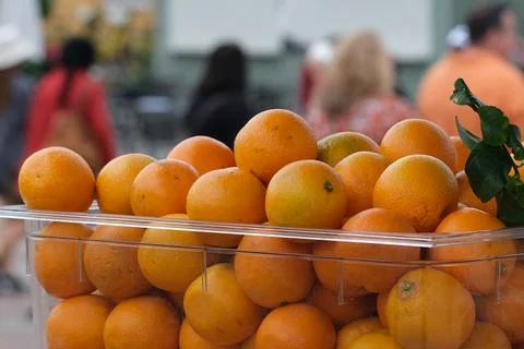 Oranges Stock Photos