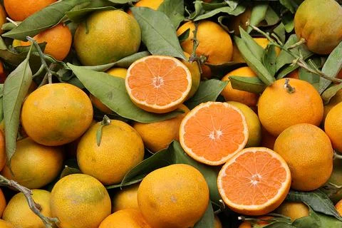 Oranges Stock Photos