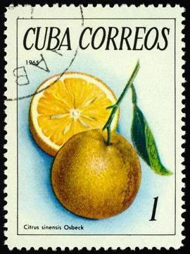 Oranges on postage stamp Stock Photos