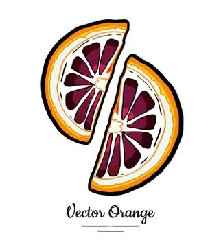 Oranges red vector isolated. Red orange cut chopped half round slices. Fruit  Stock Illustration