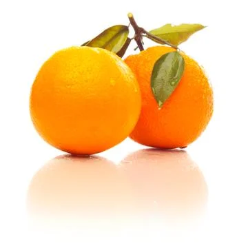 Oranges With Reflection Фото