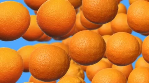 Oranges In Rows 動画素材 11177726