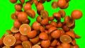 Oranges segments slices fill screen transition composite overlay element HD Footage
