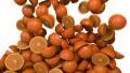 Oranges segments slices fill screen transition composite overlay element 4K 4k or 4k+ Resolution