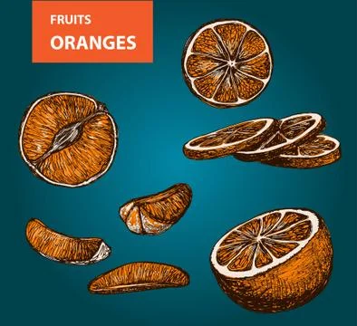 Oranges - set of vector illustration Stock Illustration