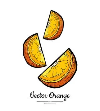 Oranges set vector isolated. Cut chopped orange, lemon slices. Fruit pieces,  Stock Illustration