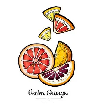 Oranges set vector isolated. Cut chopped orange, red pink grapefruit slice, y Stock Illustration