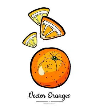 Oranges set vector isolated. Whole ripe orange cut chopped quarter yellow lem Stock Illustration
