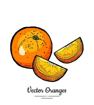 Oranges set vector isolated. Whole orange cut chopped half round slices. Frui Stock Illustration