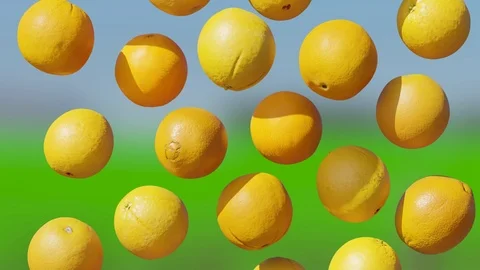 Oranges slowly tumbling in a loop Stock-Footage 109677979