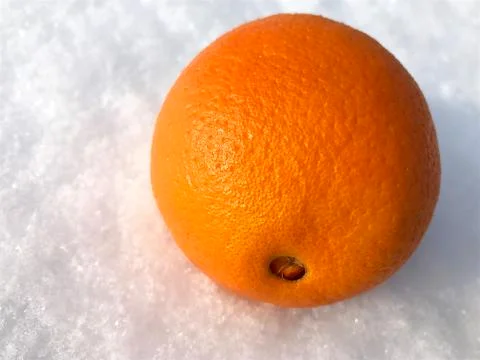 Oranges in the snow. Stock Photos
