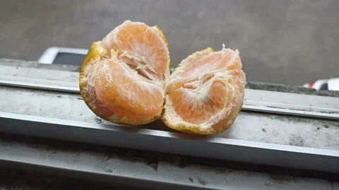 Oranges split in half 動画素材 197042147