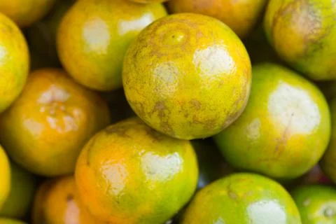 Oranges stacked Stock Photos