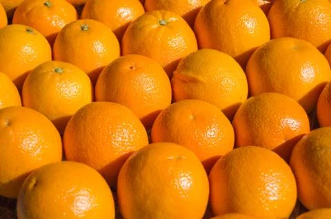 Oranges in the Supermarket Stock Photos