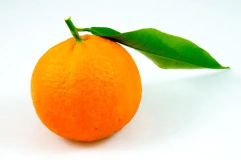 An oranges tangerine Stock Photos
