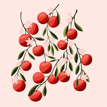 Oranges on tree branches. Isolated tropical summer fruit Stock Illustration