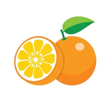 Oranges on white background Illustrazione stock