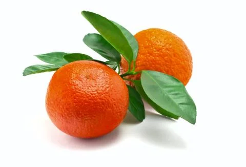 Oranges on a white background Stockfoto's