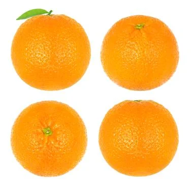 Oranges on white background Stock Photos