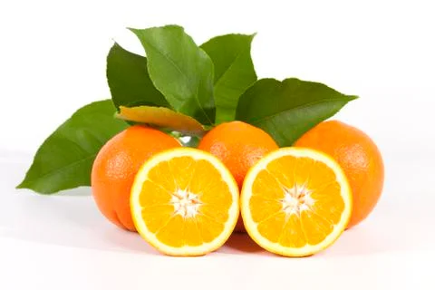 Oranges on white background. Stock Photos