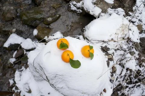 Oranges, winter, river, oranges against the background of winter nature Stock Photos