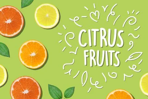 Oranges yellow top view slice green background copy Stock Photos