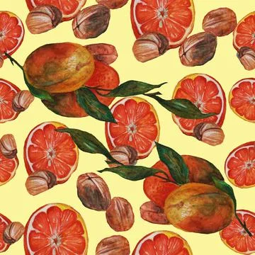 Oranges,walnuts and bay leaf Stock Illustration