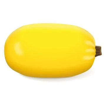 Orangetti Spaghetti Squash. Winter squash. Stockillustratie