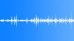 OrangeWinged Amazon Parrot Early Sound Effect