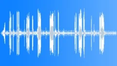 Orangutan Conversational Response London Sound Effect