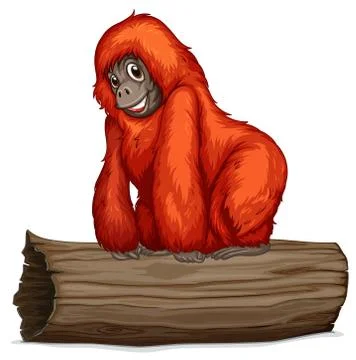 Orangutan Stock Illustration