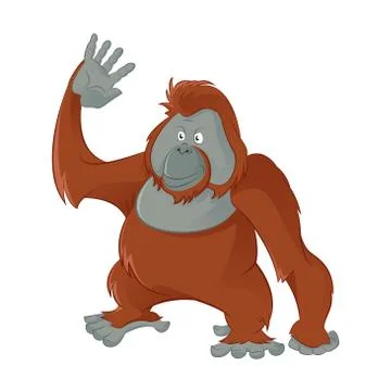 Orangutan Stock Illustration