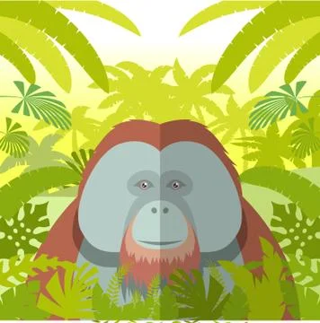 Orangutan on the Jungle Background Stock Illustration