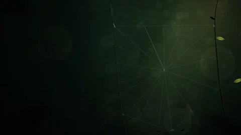 Orb Weaver Spider Spinning Web Time Lapse Macro at Dusk Stockbeeldmateriaal 347567665