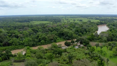 Orbit Aerial Over Muddy River Winding Through Gallery Forest in Orinoquia Video stock 346009249