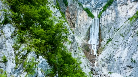 Orbit Around Hanging Trees Shot With Highest Majestic Boka Waterfall in The Back Stock Footage 231198941