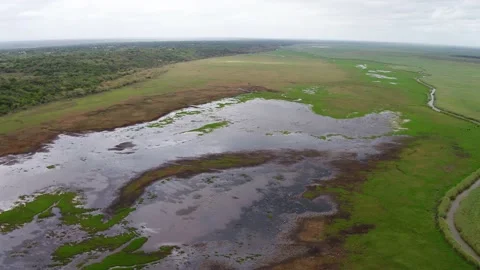 Orbit around wetland drone Stock Footage 186089738