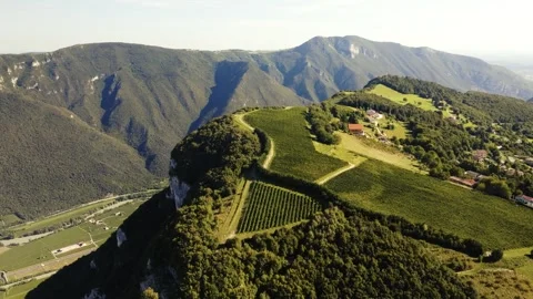 Orbit Drone Shot of Sunlit Vineyard on Mountain Ridge, Italy Video stock 316761192
